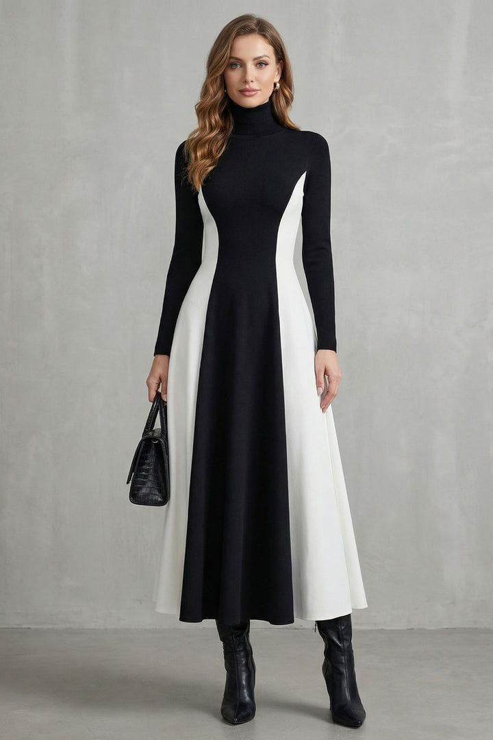 Millie | Sophisticated Colourblock Turtleneck Jumper Dress