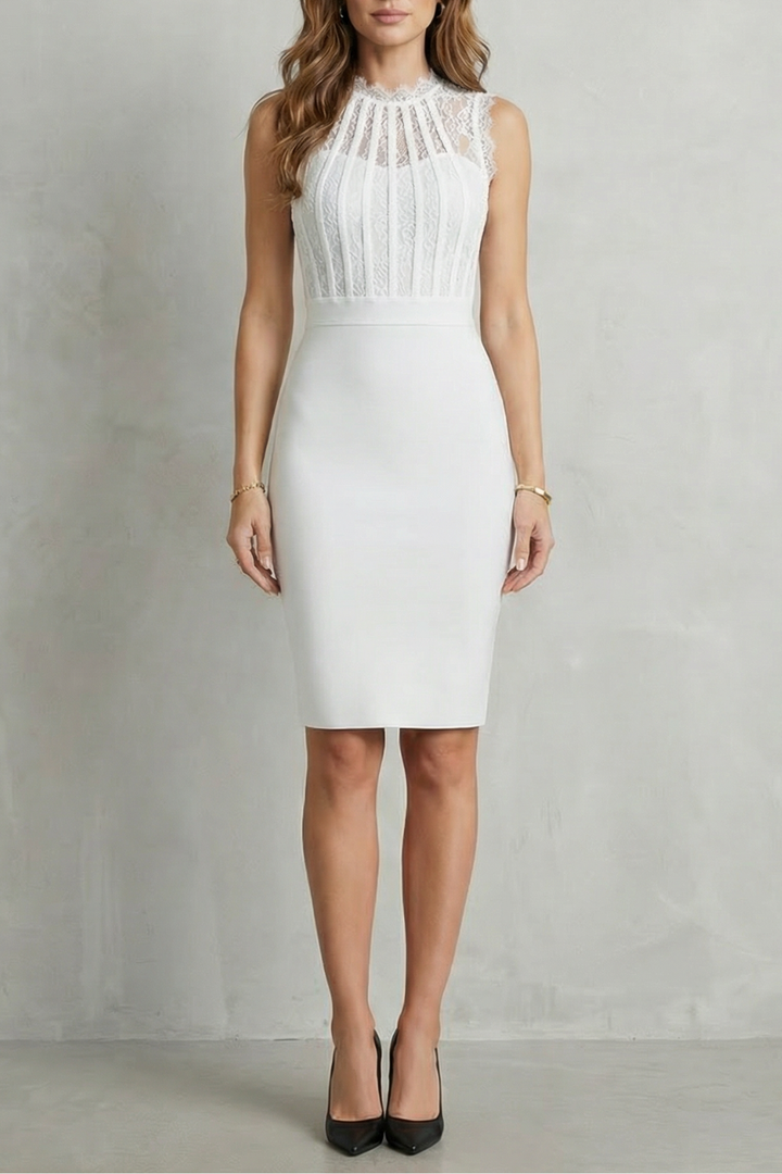 Ruby | Timeless Lace Bodycon Christmas Party Dress